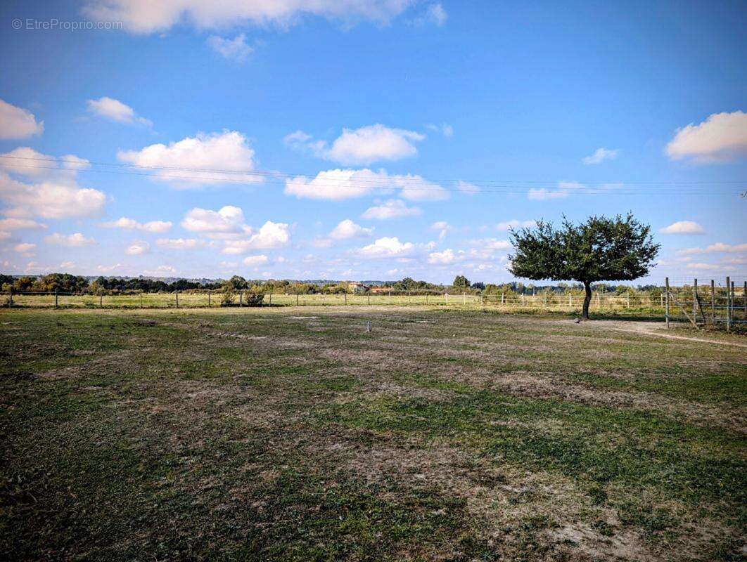 Maison à SAINT-ELIX-LE-CHATEAU