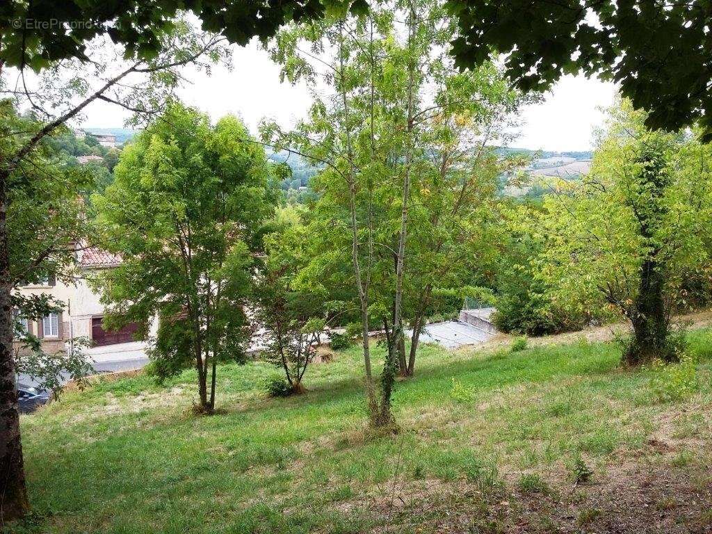 Terrain à CORDES-SUR-CIEL