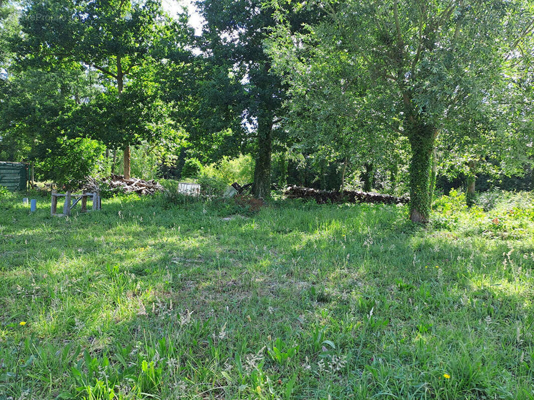 Terrain à MITTAINVILLE