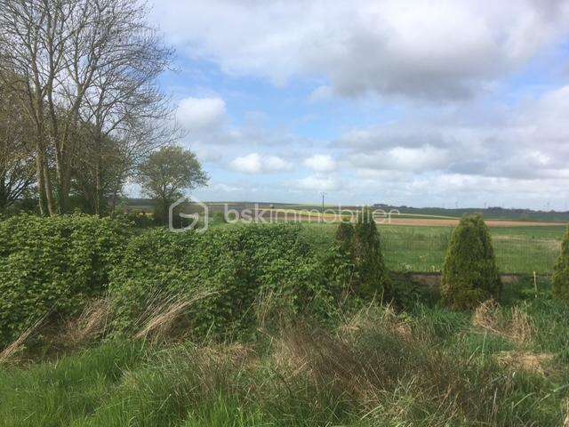 Terrain à WAVIGNIES