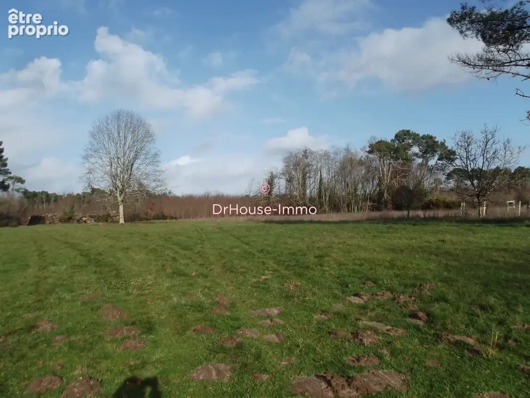Terrain 4 260 m² à vendre à Cissac-Medoc (33250) - photo 7