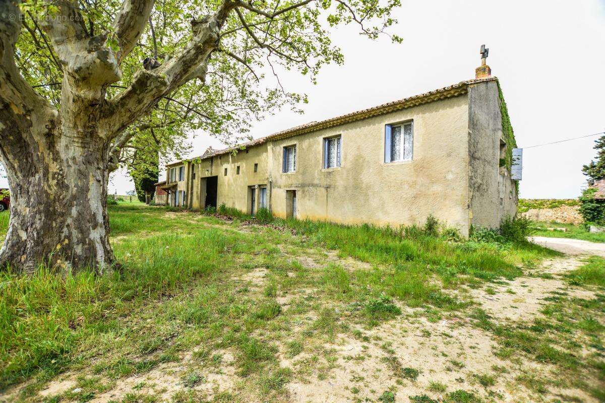 Maison à SAINT-LAURENT-DES-ARBRES