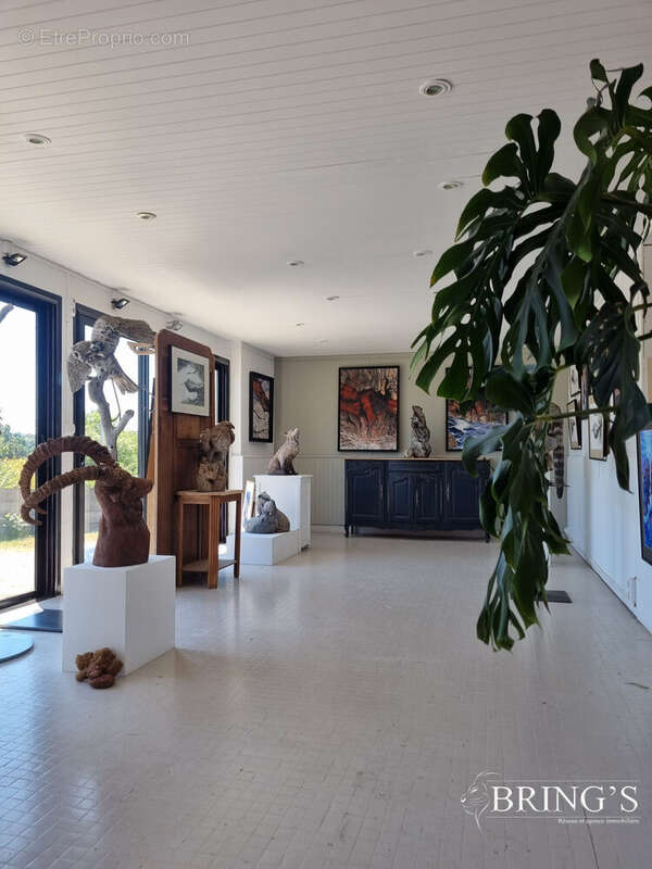 Commerce 180 m² à Crozon  - photo 8