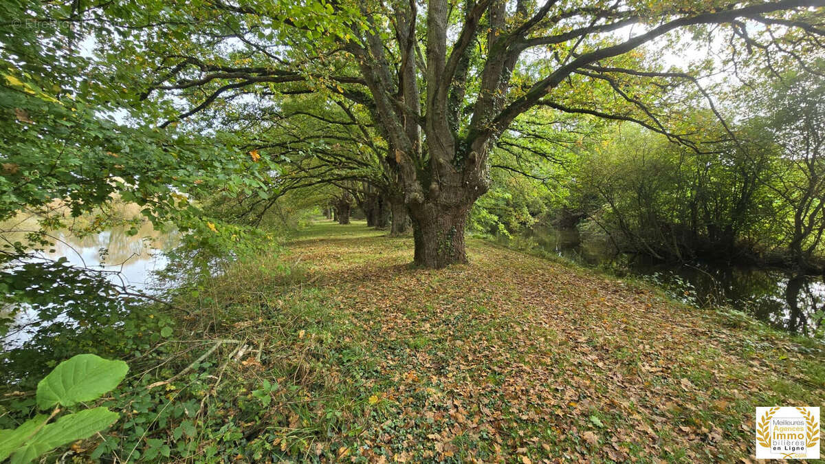 Terrain à SAINT-LEONARD-DES-BOIS