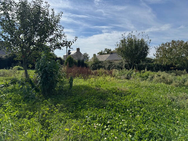 Terrain à TREFFIEUX