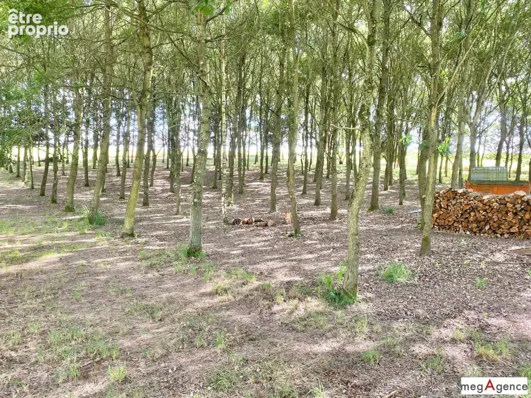 Ensemble immobilier, 4 logements et un bois - photo 7