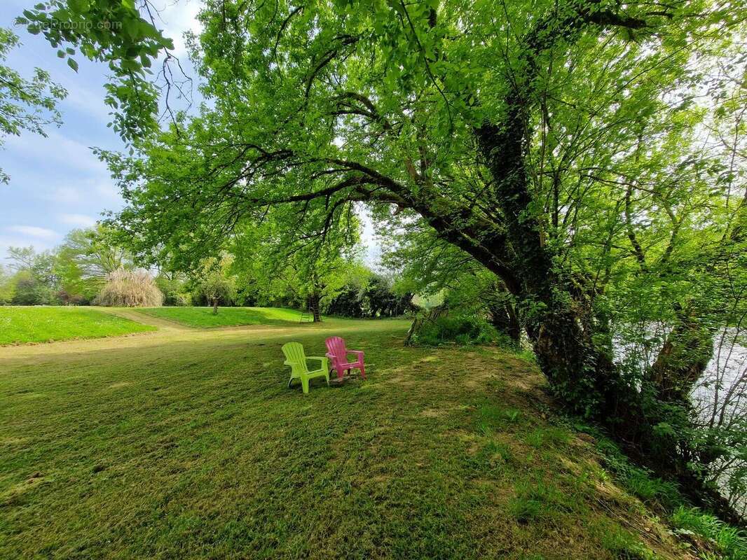Propriété avec Maison d'habitation, Maison d'amis, Studio, Piscine, parc et jardin 7418m2 jusqu'à la rivière. - photo 17
