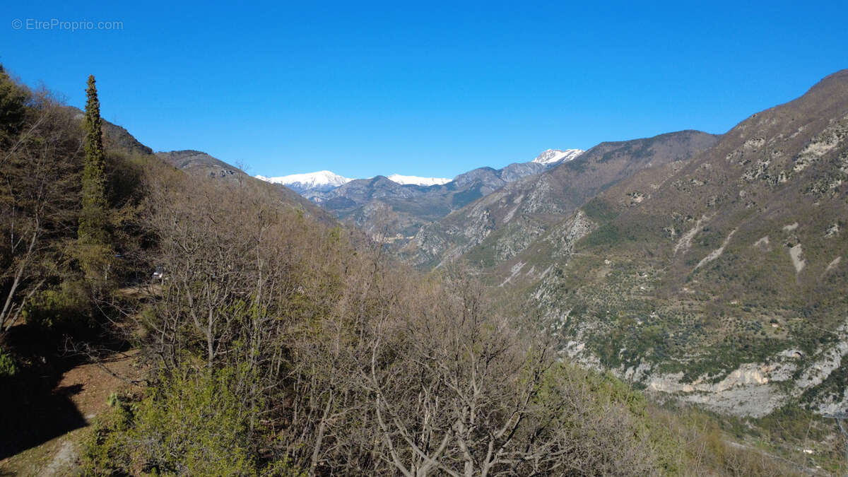 Maison à BREIL-SUR-ROYA