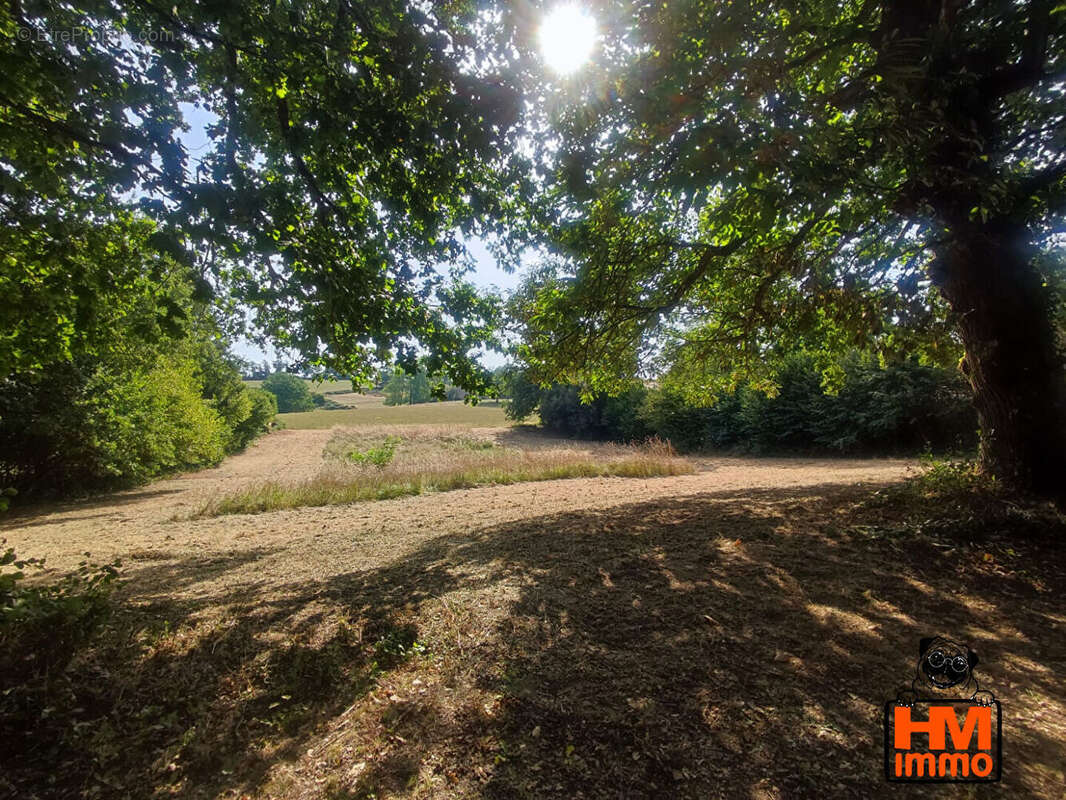 Terrain 3644 m² à Le Vigen  - photo 4
