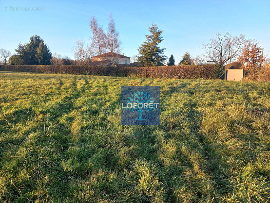 Terrain à BUSSY-ALBIEUX