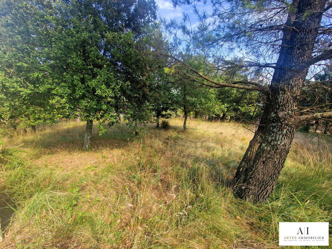 Terrain à LE TEIL