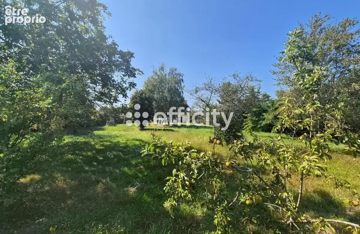 Maison 193 m² à La Chatre  - photo 24
