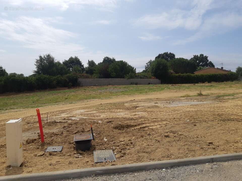 Terrain 700 m² à Grisolles  - photo 2