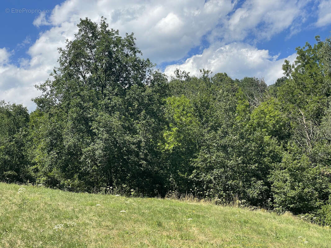 Terrain à PRATS-DE-MOLLO-LA-PRESTE