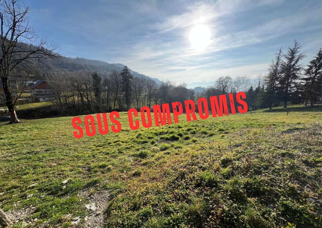 Terrain à VILLARD-D'HERY