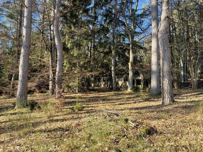 Terrain à NIEDERBRONN-LES-BAINS