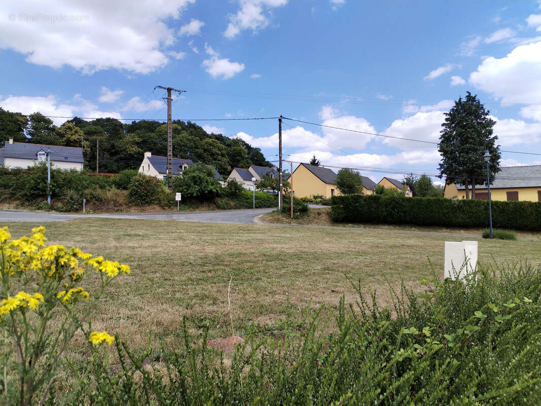 Terrain à MONTAUTOUR