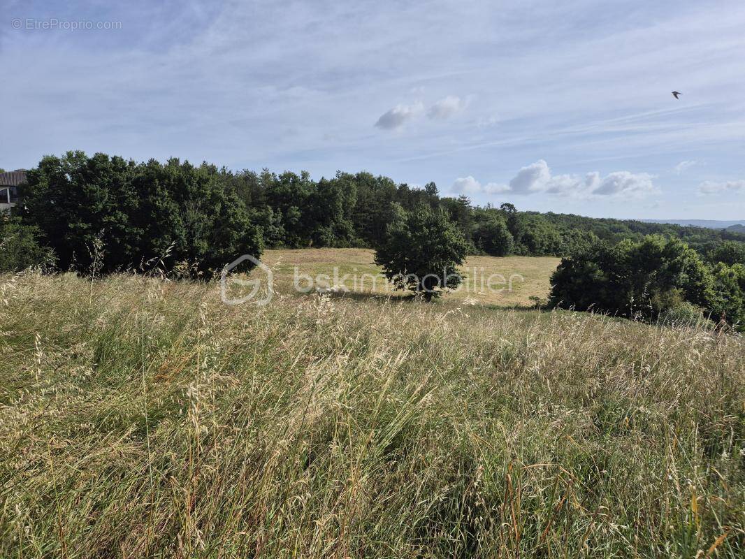 Terrain à BARDIGUES