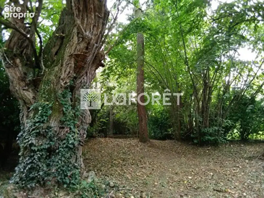Maison de caractère à fort potentiel à Soisy-sur-Seine - photo 2
