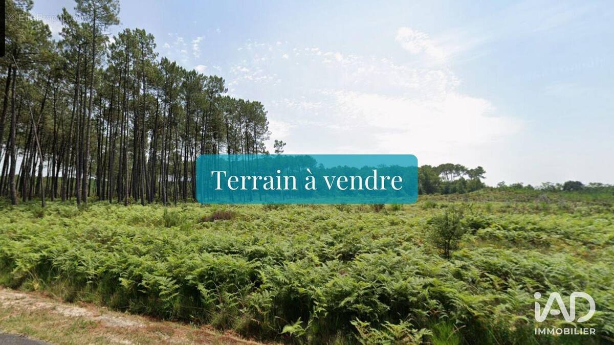 Photo 1 - Terrain à SAINT-MICHEL-ESCALUS