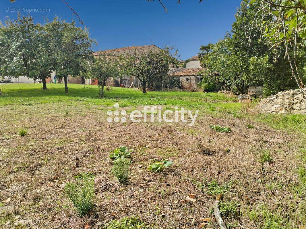 Maison à SAINT-SAUVEUR-D&#039;AUNIS
