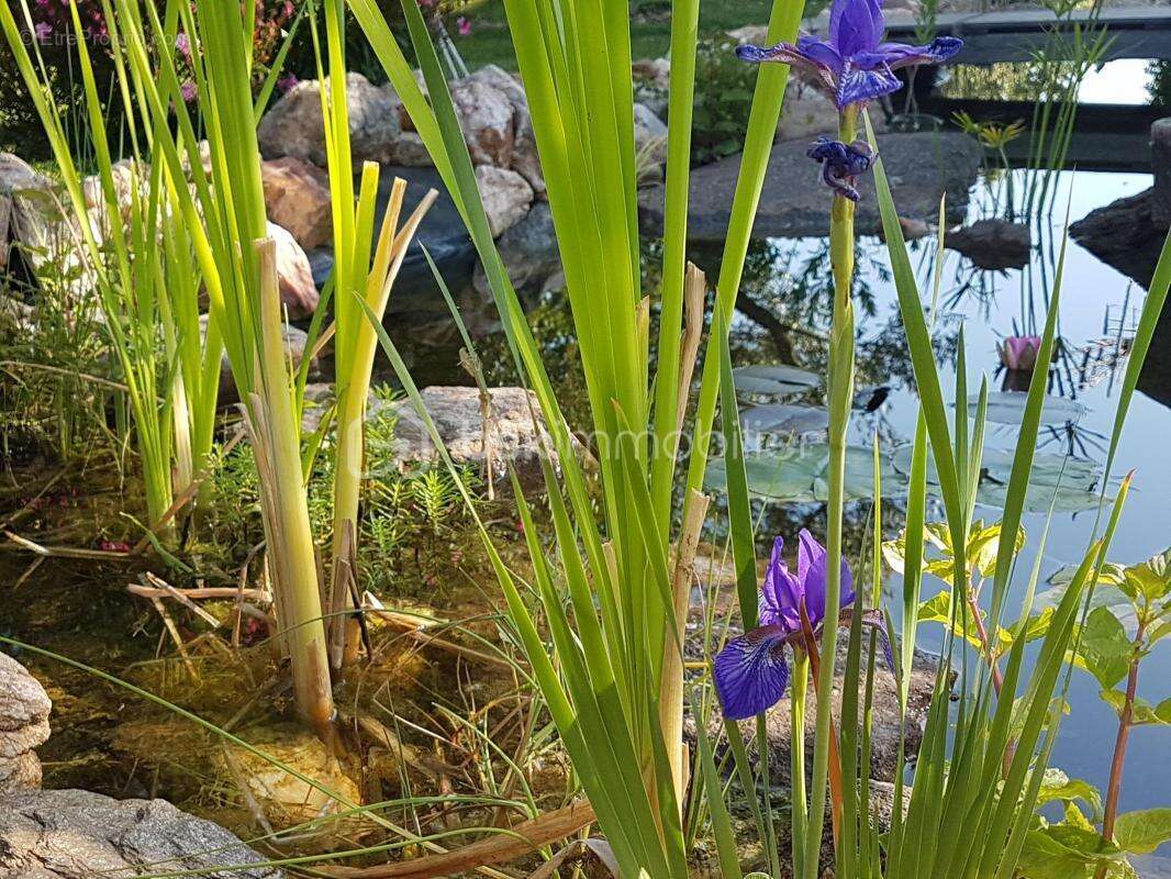 Maison à LA GARDE-FREINET