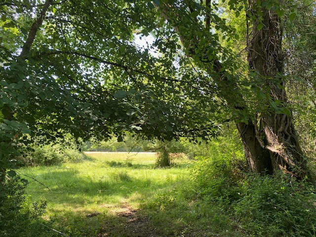 Maison à LA GENETOUZE