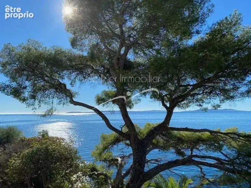Juste Magique !  Somptueuse Villa Pieds dans l'eau accès mer au LAVANDOU - photo 4