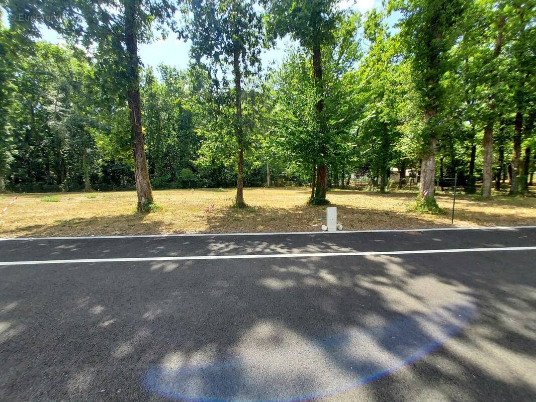 Terrain à LA TREMBLADE