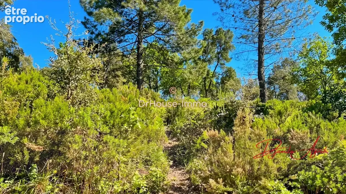 Terrain 70 000 m² à vendre à Sainte-Maxime (83120) - photo 16