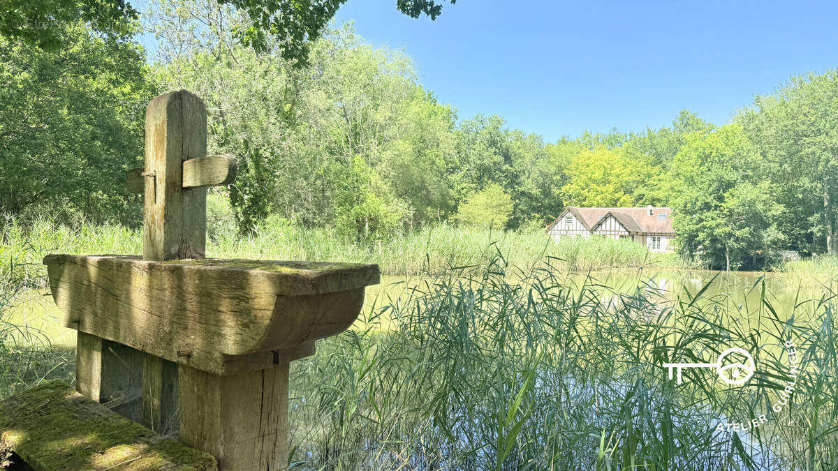 Volumes, lumière et nature : une propriété singulière aux portes de la Sologne - photo 6