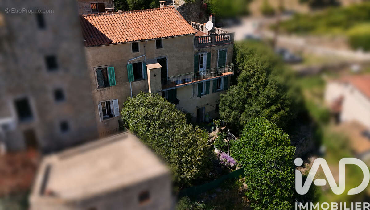 Photo 3 - Maison à OLMETO