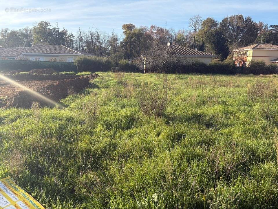 Terrain à BESSIERES