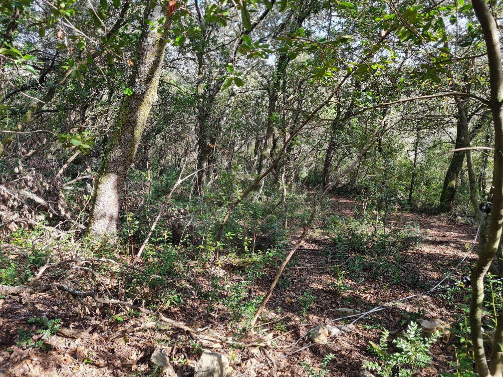 Maison à DURFORT-ET-SAINT-MARTIN-DE-SOSSENAC