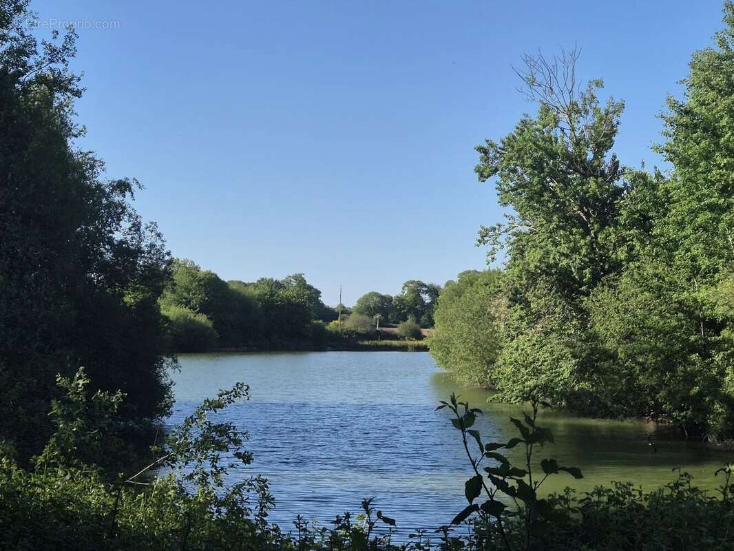 Terrain à LA PELLERINE