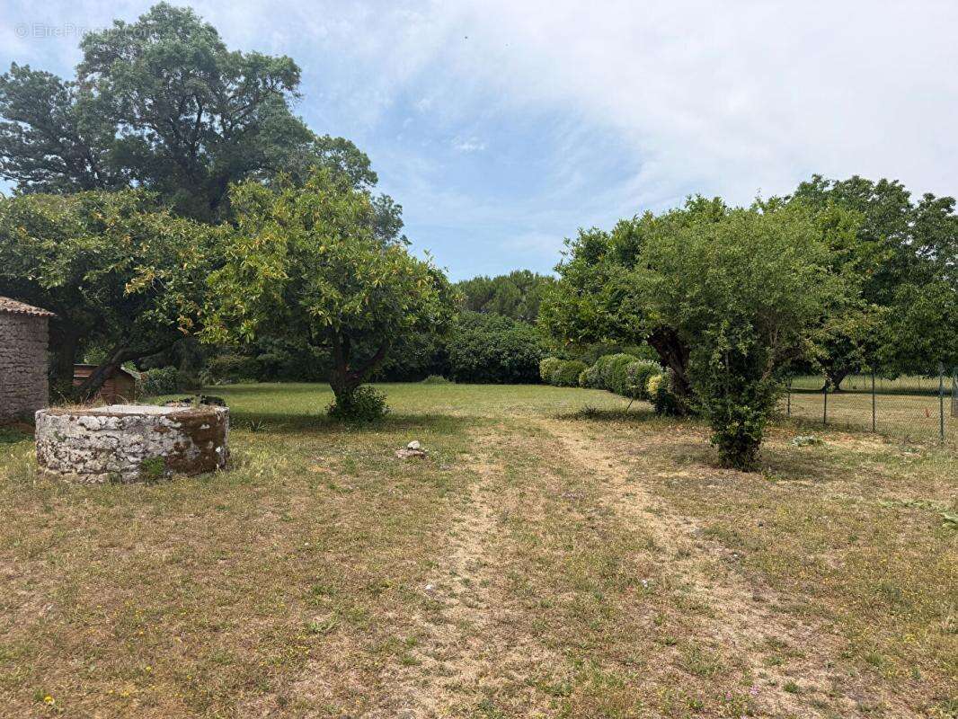 Maison Charentaise de 271 m2 avec 3581m2 de terrain - photo 16