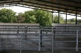 Haras de Reproduction Clé en Main sur 52 ha dans le Morbihan (5 - photo 8
