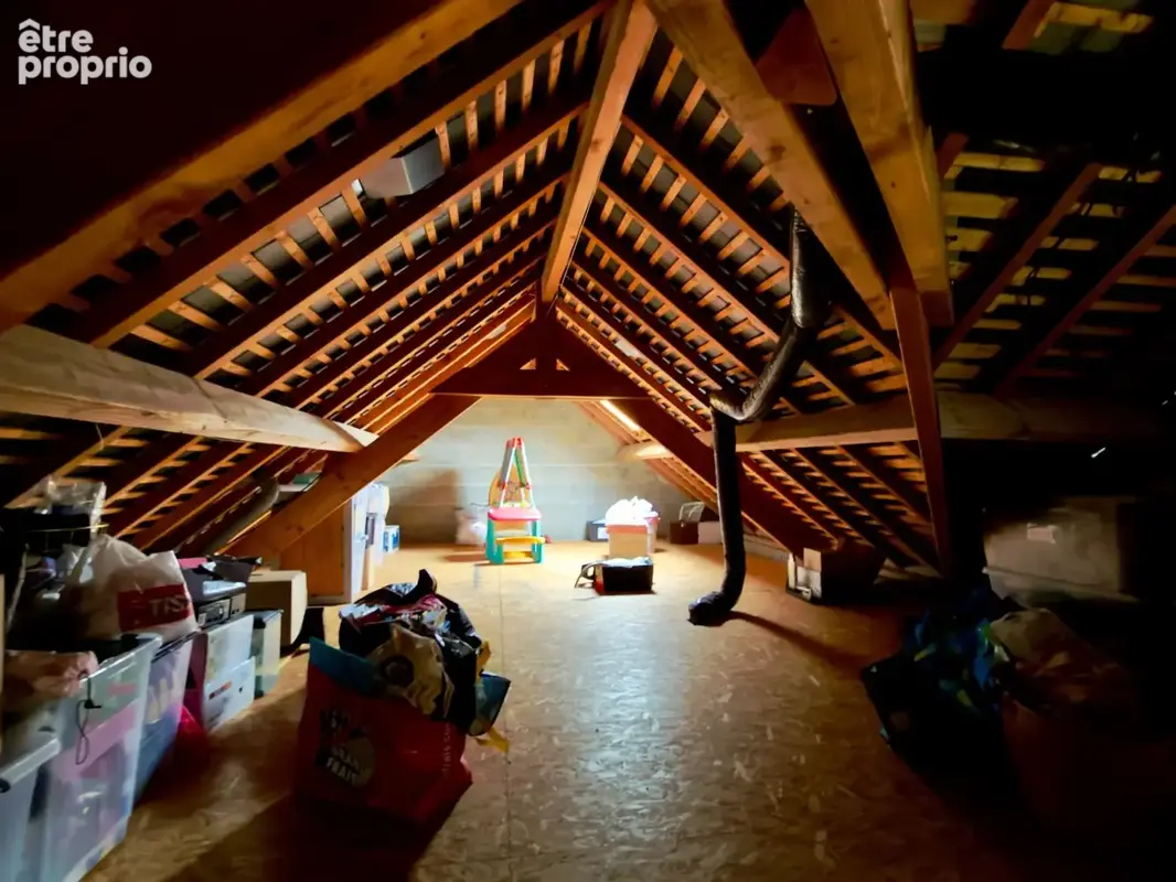 CHOUZE SUR LOIRE, Maison tuffeau 4 chambres avec vie de plain-pied sur jardin arboré clos - photo 12
