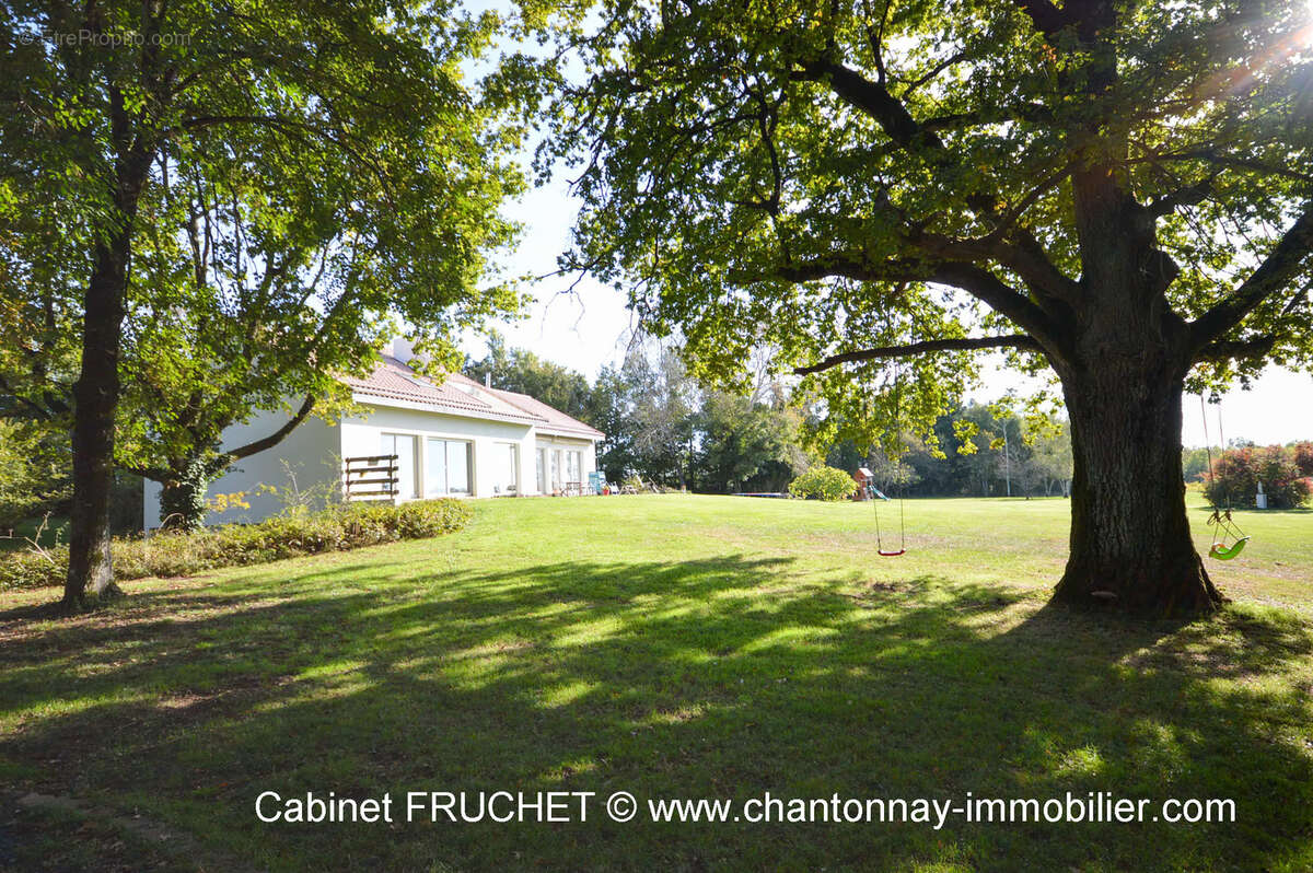 Maison à CHANTONNAY