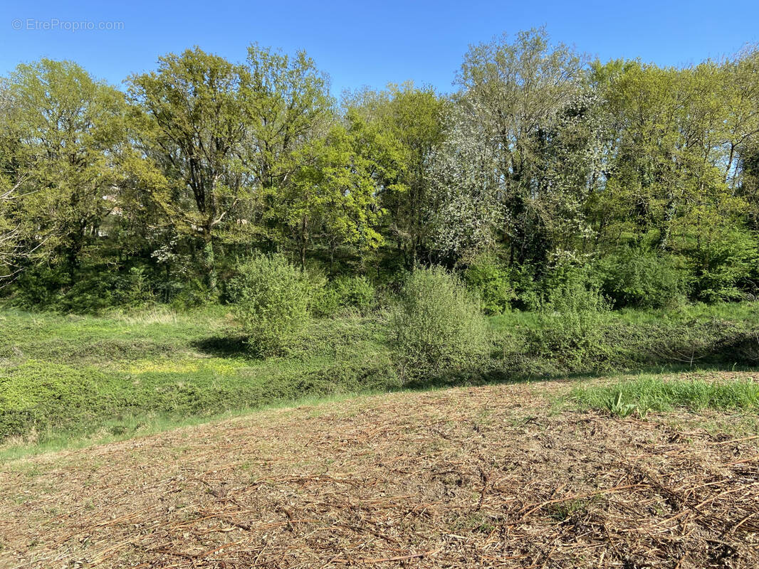Terrain à TILLIERES