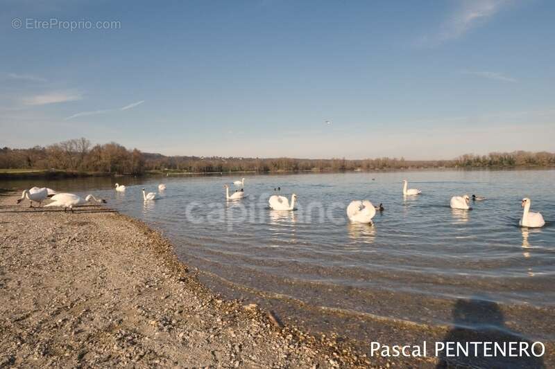 Appartement à VAULX-EN-VELIN