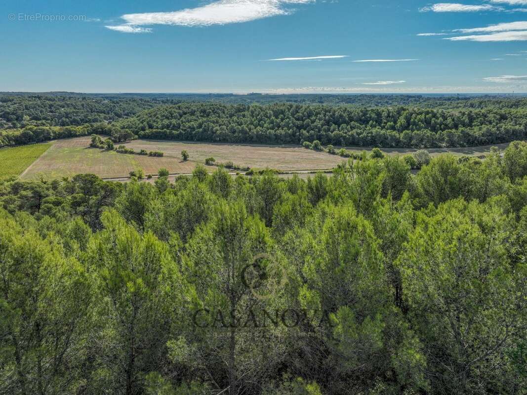 Terrain à SAINT-CLEMENT-DE-RIVIERE