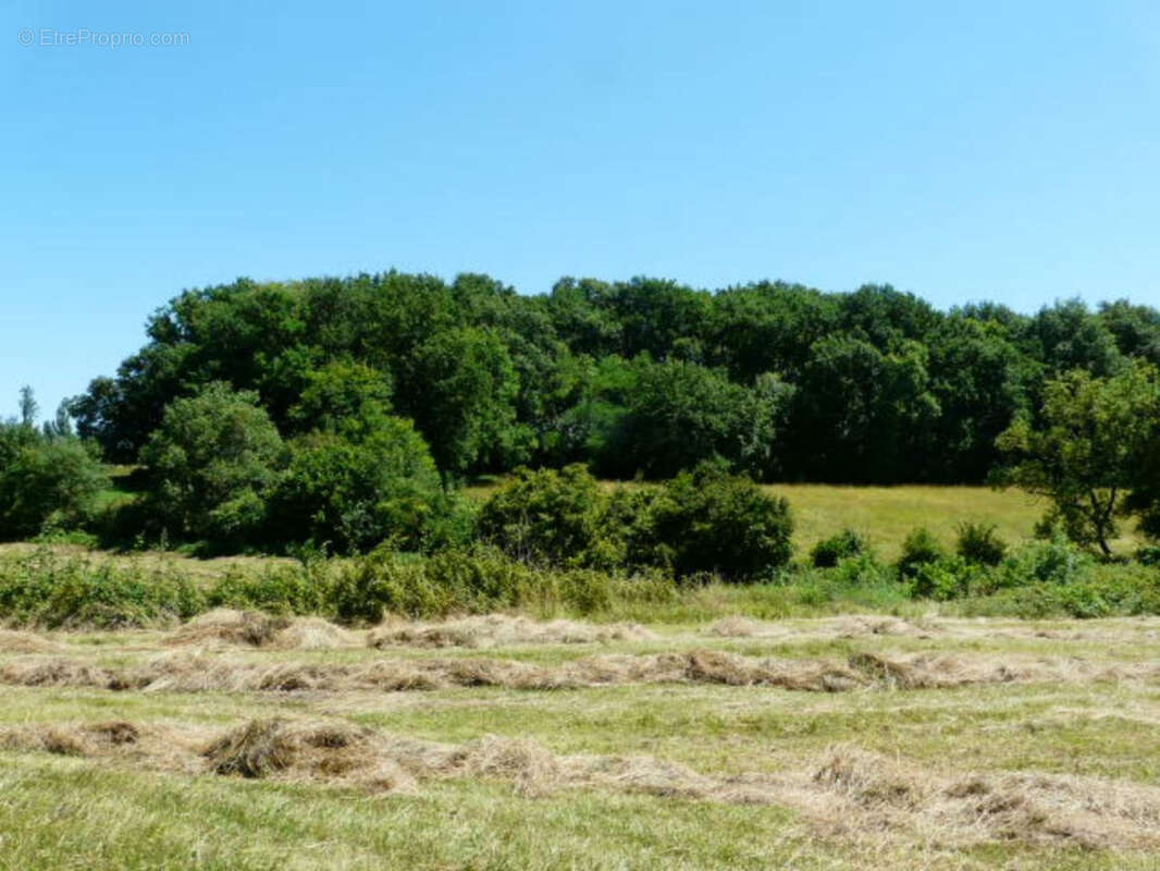Ancienne Maison de Maître terre et bois 6 Ha - photo 6