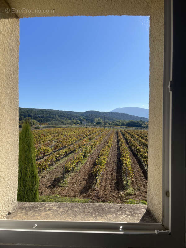 Maison à VAISON-LA-ROMAINE