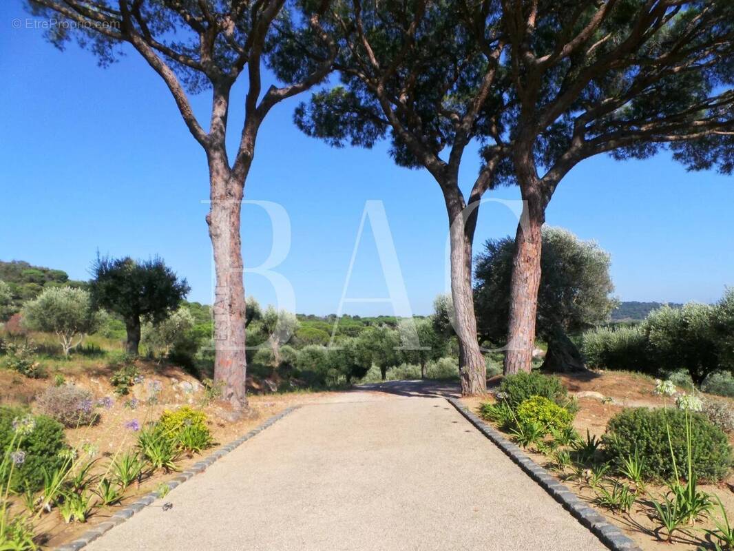 Maison à RAMATUELLE