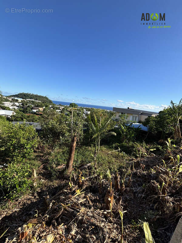 Terrain à SAINT-JOSEPH