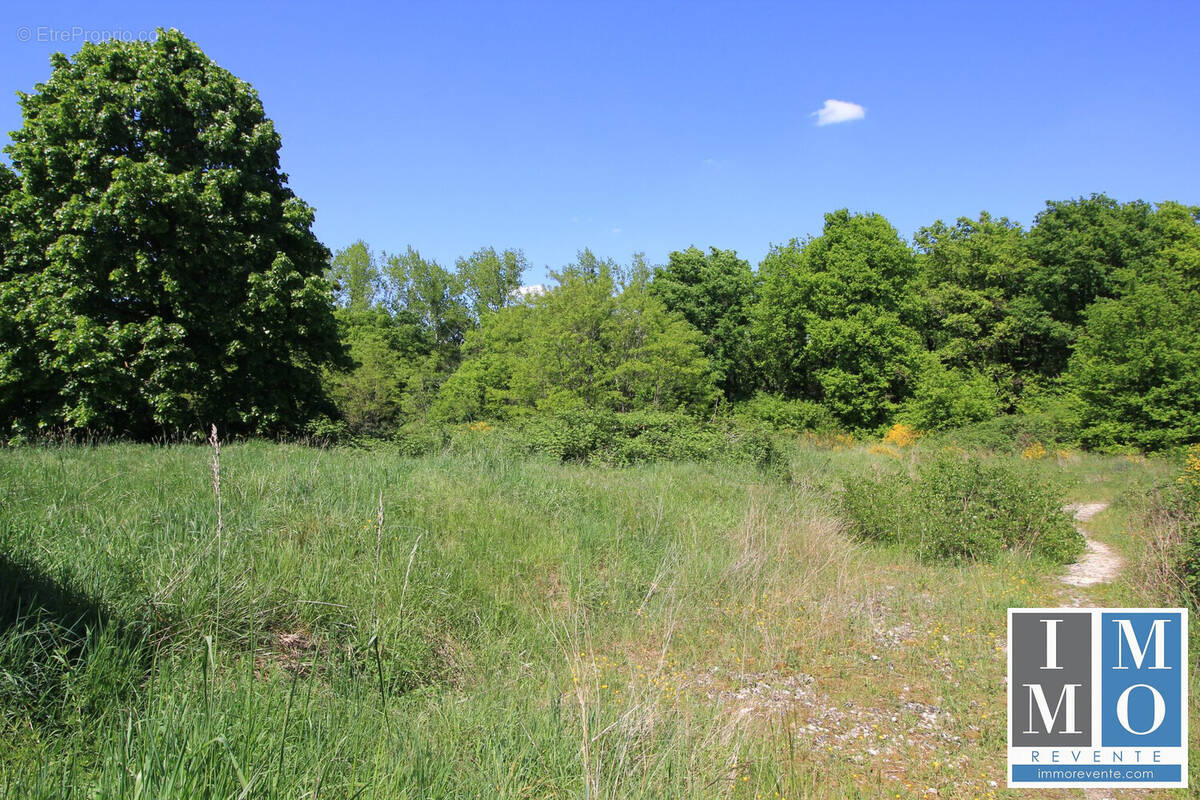 Terrain à VIERZON