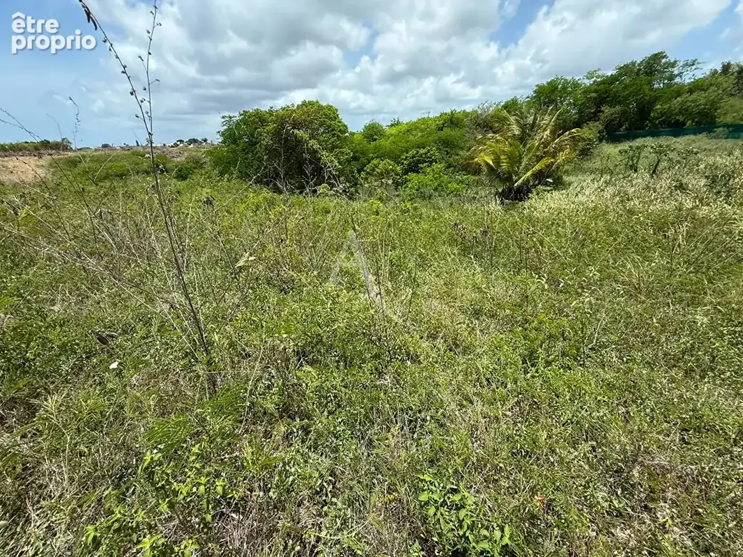 Grand terrain de 1 520 m² au calme - photo 3