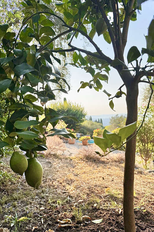 Maison à SPERACEDES