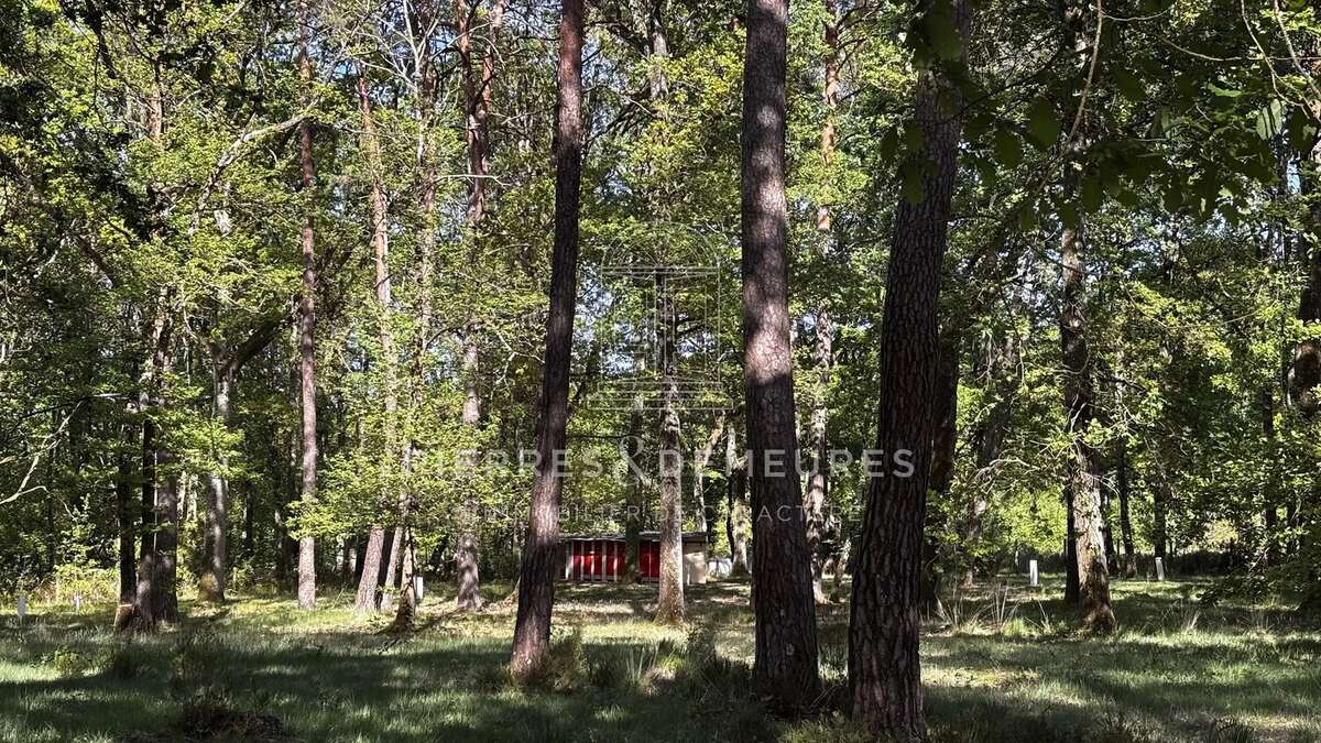 Un site touristique a reinventer en berry - photo 9